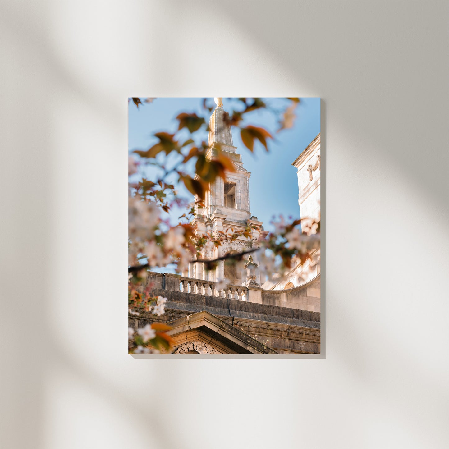 Leeds City Council Cherry Blossom Photography, Set of 2 Digital Downloads